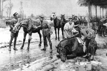 David Cohen Former Chairman of The Western Front Association, Gallery Owner and War Art contributor