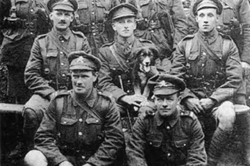 G Battalion 1st Tank Brigade at St. Julien on 19 August 1917 by Peter Arscott