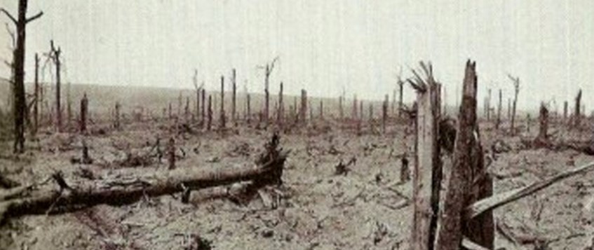 'The Fight for Delville Wood & The Story of a Remarkable Man' by Andy Tonge