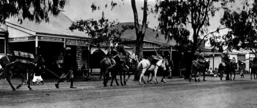 'East Africa Campaign in Kenya 1914' a talk by Kevin Patience