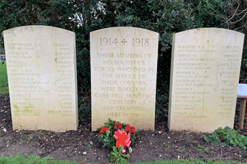 "And Bert’s gone syphilitic" – The Real Tragedies Behind the Cane Hill Hospital Memorial at Croydon.