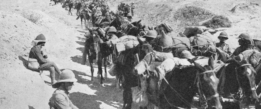 'The British Army in Mesopotamia' with Paul Knight