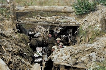 ONLINE: 'The Western Front' by Nick Lloyd