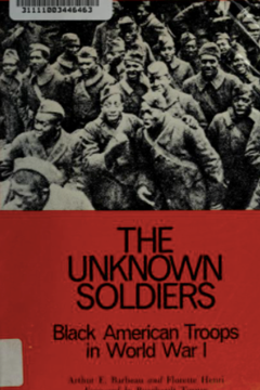 The Unknown Soldiers : Black American Troops in World War One