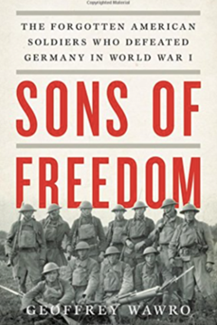 Sons of Freedom: The forgotten American Soldiers who defeated Germany in World War One by Geofrey Wawro