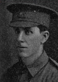 29 August 1916 : Pte Albert Amos Howes