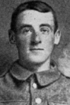 14 November 1916 Pte Bertie Adams was killed in action on this day
