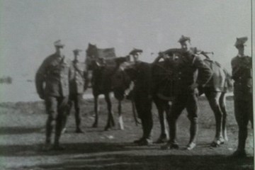 The Highland Mountain Brigade at Gallipoli
