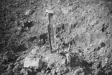 "Uncovering the Dead 1918-1939".