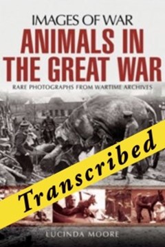 Ep. 19 – Animals in the Great War – Lucinda Moore