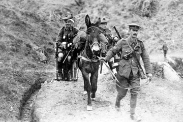 Mountains, Mules and Malaria (Salonika) with Alan Wakefield