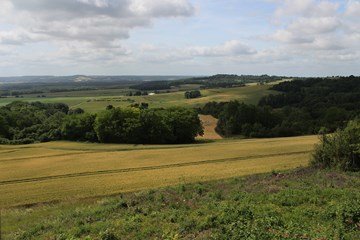 'The Aisne Again: May 1918 - The Essence of Blitzkrieg' a presentation by David Blanchard