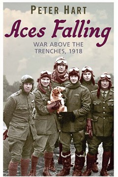 Aces Falling, War Above The Trenches, 1918