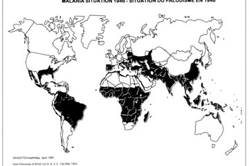 Malaria in the Great War