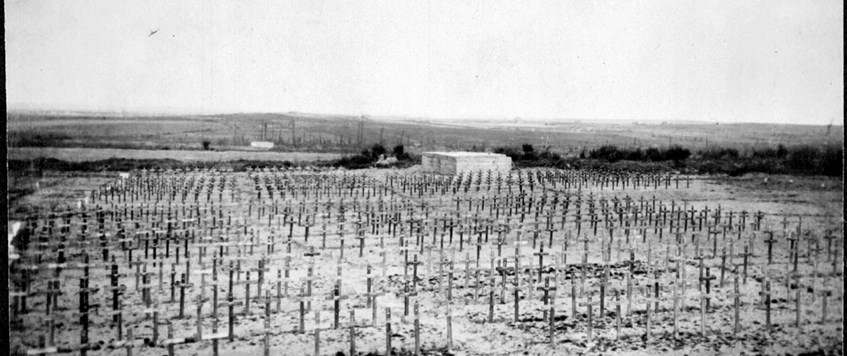 The First World War & Commonwealth War Graves Commission by Alan Reed