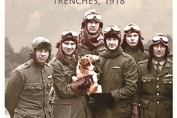'Aces Falling: War over the Trenches,1918' by Peter Hart