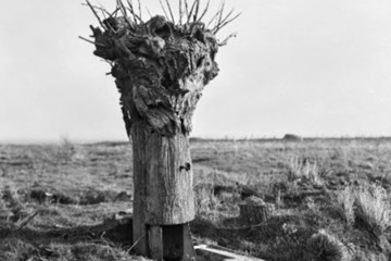 'Sniping in the Great War' by Dave Dunham