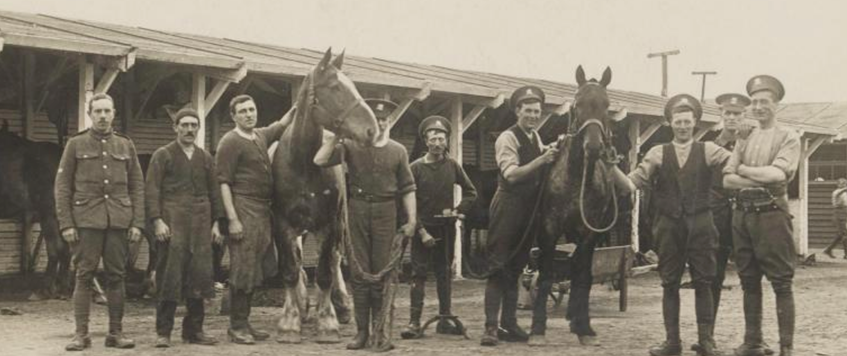 'Army Veterinary Services During The Great War' by Dr Graham Winton