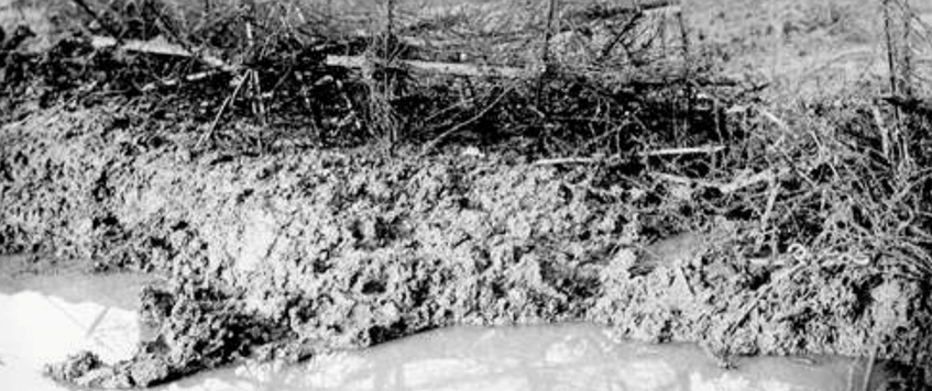 ‘The Fall Of Beaumont Hamel: What Went Right For The Germans In July 1916 and what went so badly wrong In November’ by Alastair Fraser
