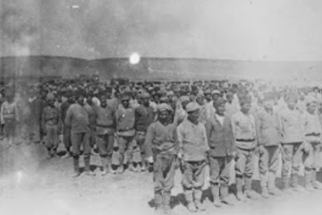 'Guests of The Sultan, Prisoners of War in Turkish Hands' by Steve Chambers