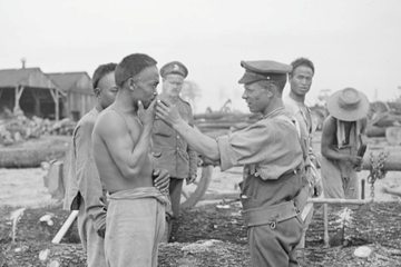 The Chinese Labour Force during the First World War