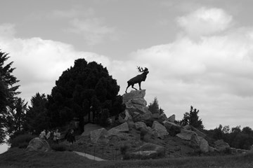 Newfoundland Memorial Commemoration - 1st July 2025