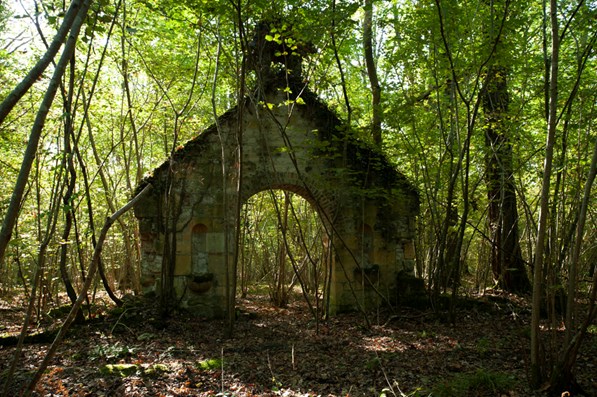 8 2014 12157 Champagne