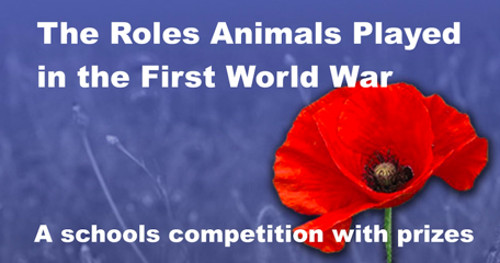 Screenshot 2021 06 19 At 050127