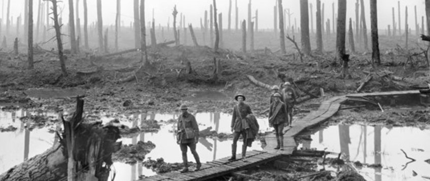 ONLINE: 'Nature and the Great War' by Anne Pedley
