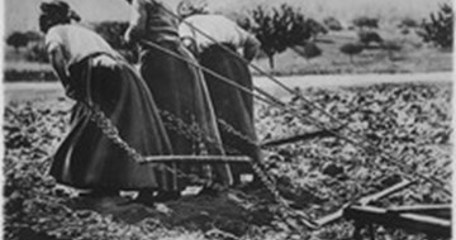 Lossy Page1 220Px Heroic Women Of France Hitched To The Plough Cultivating The Soil All Agriculture Rests Upon Their Shoulders Unc