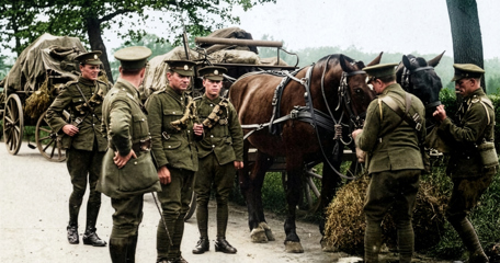 Logistics Colour (1)