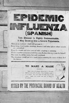 Ep. 33 – The 'Spanish Flu' Pandemic 1917-19 – Dr Jane Orr