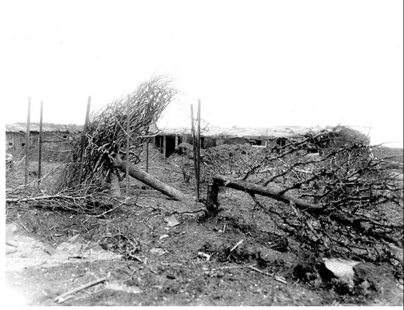 Destroyed Garden Vaulx-Vraucourt