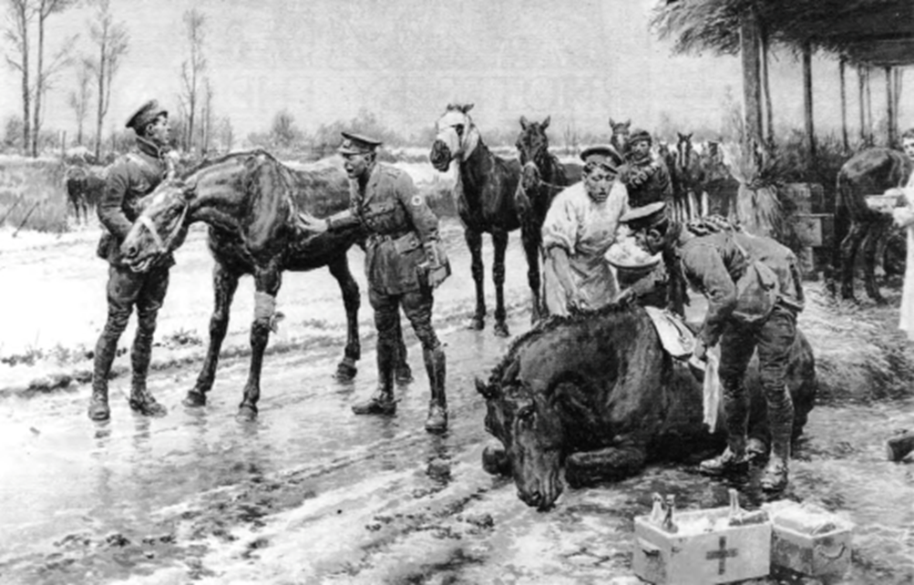 ‘The care of the wounded horse in Northern France - the work of the blue cross at the front, veterinary doctors receiving a wounded war horse for treatment at a blue cross station’ by Fortunino Matania  (1881-1963) This is a monochrome water-colour, measuring 14" x 21", illustrated in Sphere Magazine, 27 February 1915.