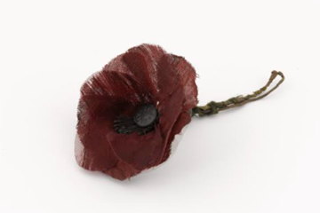 'A Letter to the Unknown Warrior' by Saffiyyah Kazi