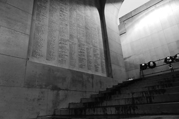 Two brothers, but in different armies