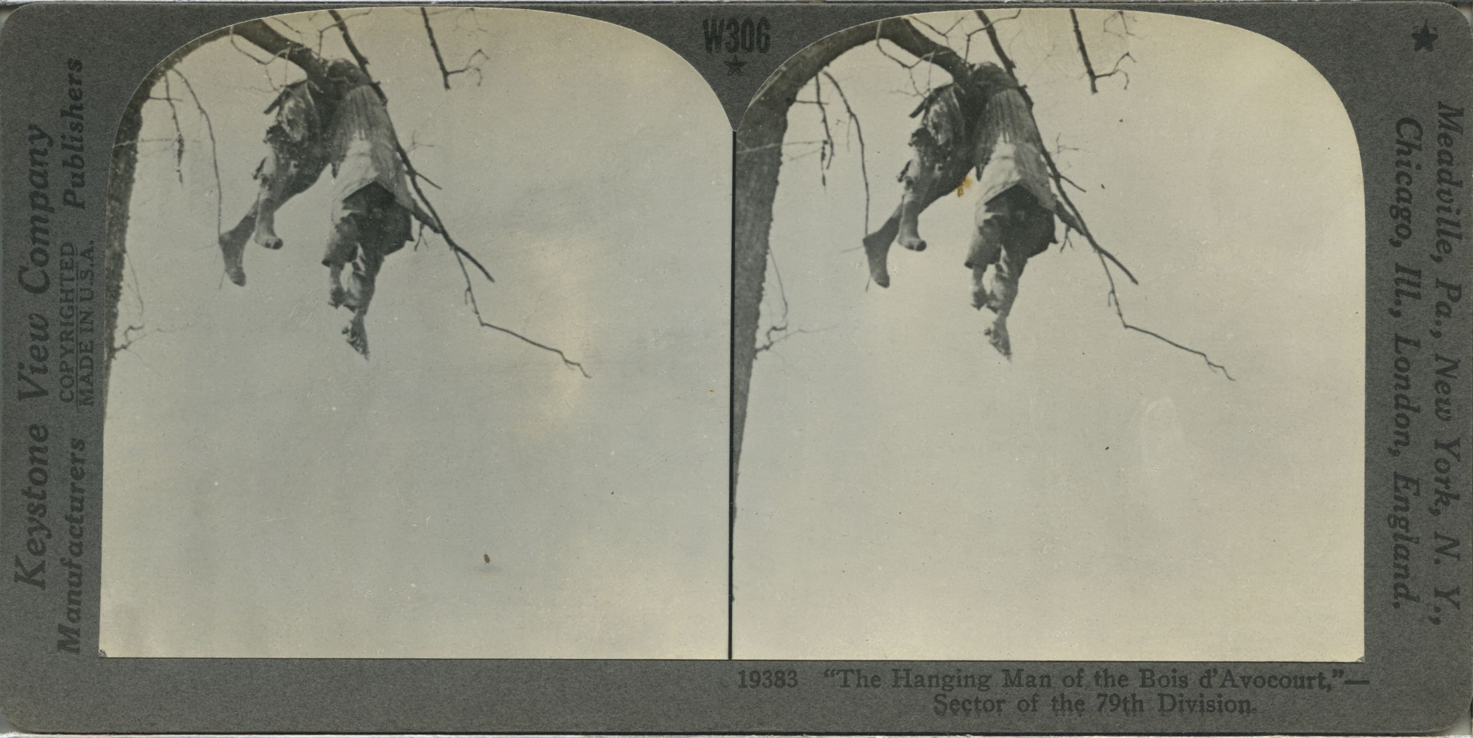 "The Hanging Man of the Bois d'Avocourt,"--Sector of the 79th Division