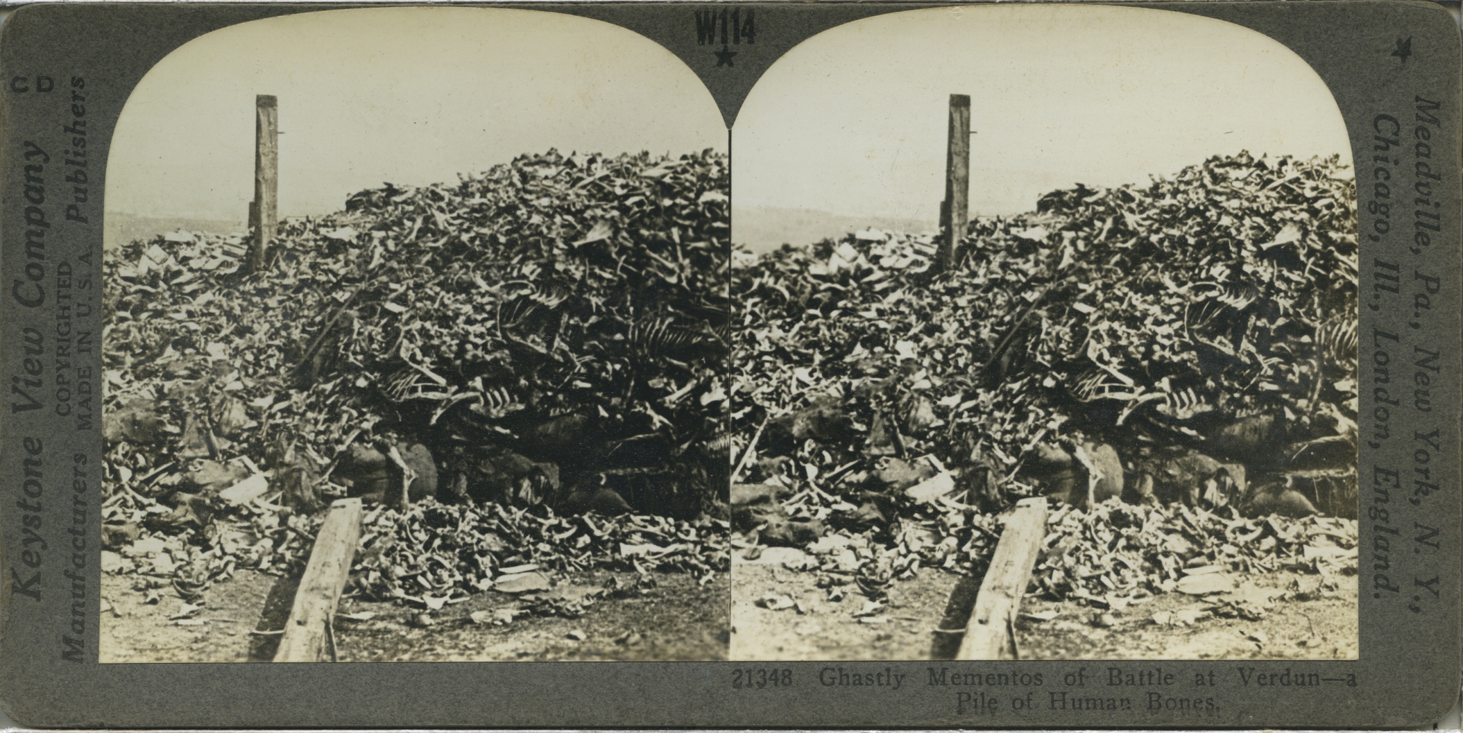 Ghastly Mementos of Battle of Verdun--a Pile of Human Bones