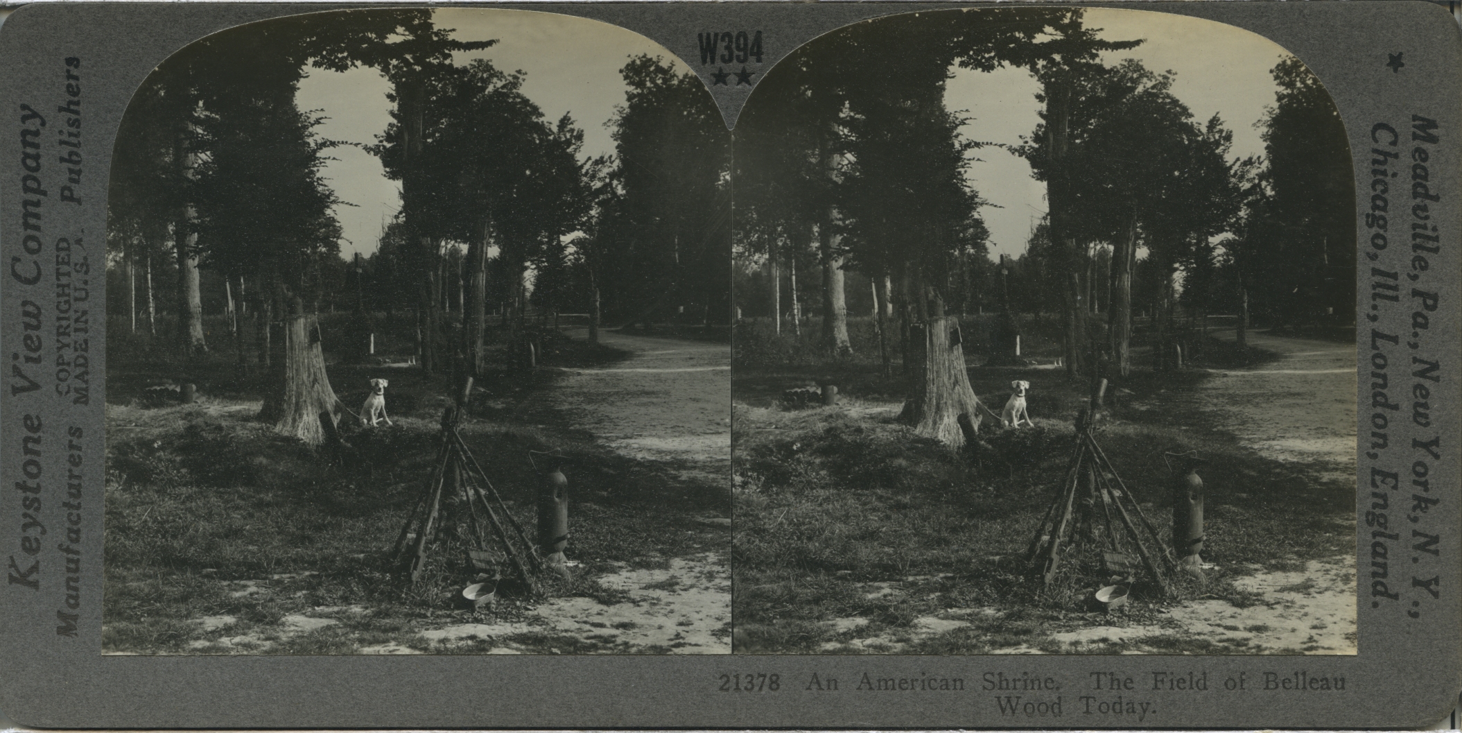 An American Shrine. The Field of Belleau Wood Today