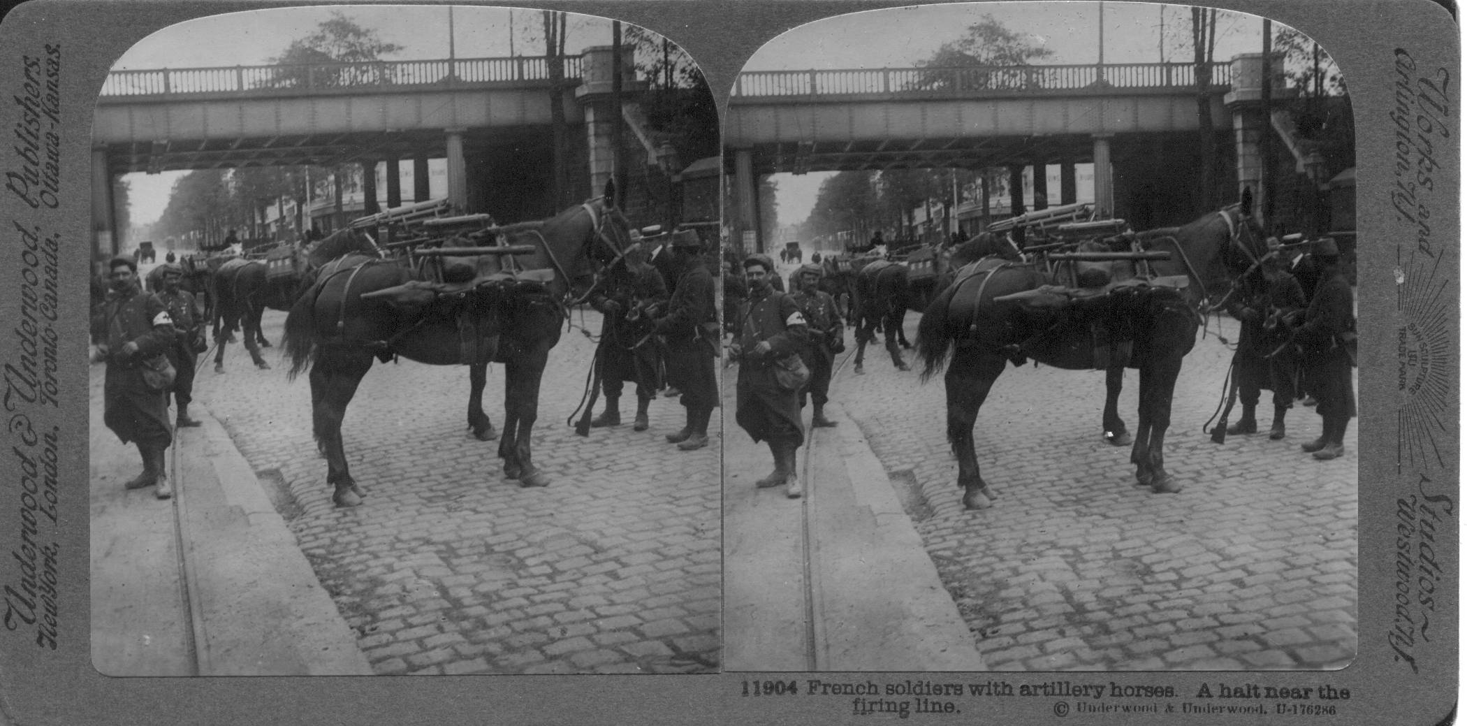 French soldiers with artillery horses. A halt near the firing line