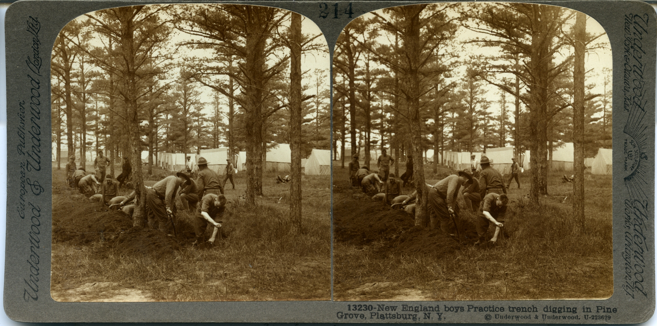 New England boys Practice trench digging in Pine Grove, Plattsburg, N.Y.