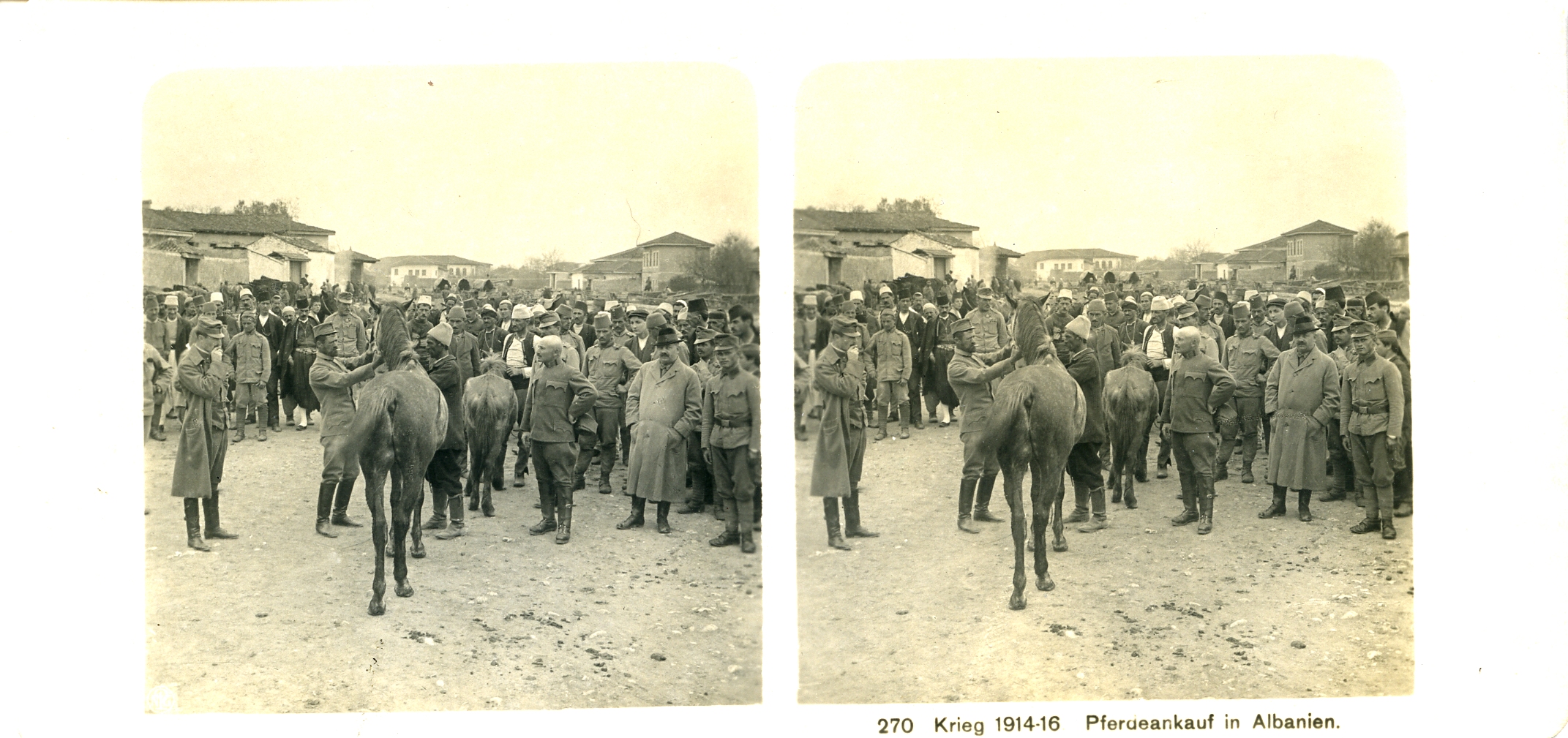 "Pferdeankauf in Albanien" - Buying horses in Albania