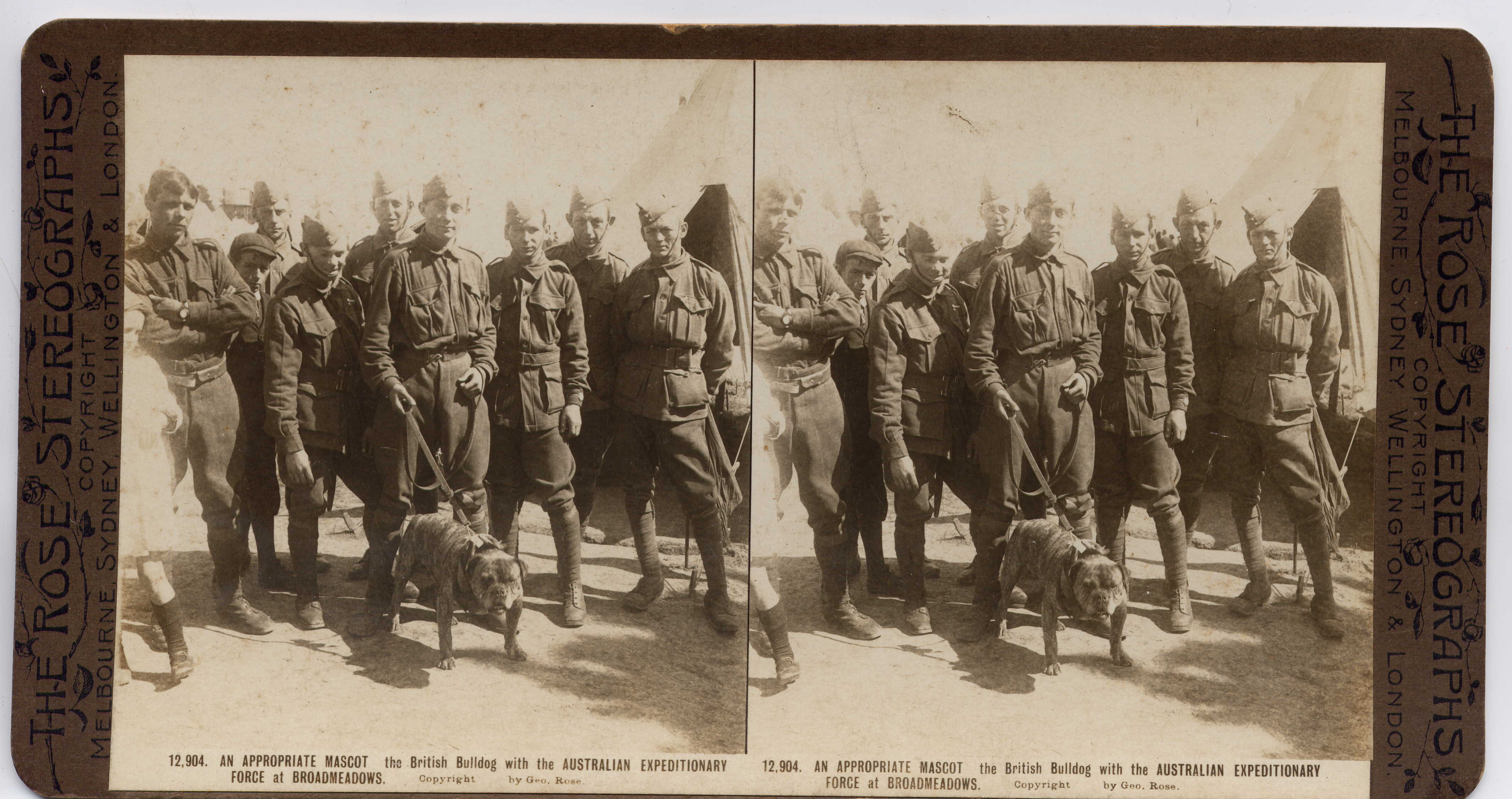 AN APPROPRIATE MASCOT the British Bulldog with the AUSTRALIAN EXPEDITIONARY FORCE at BROADMEADOWS.