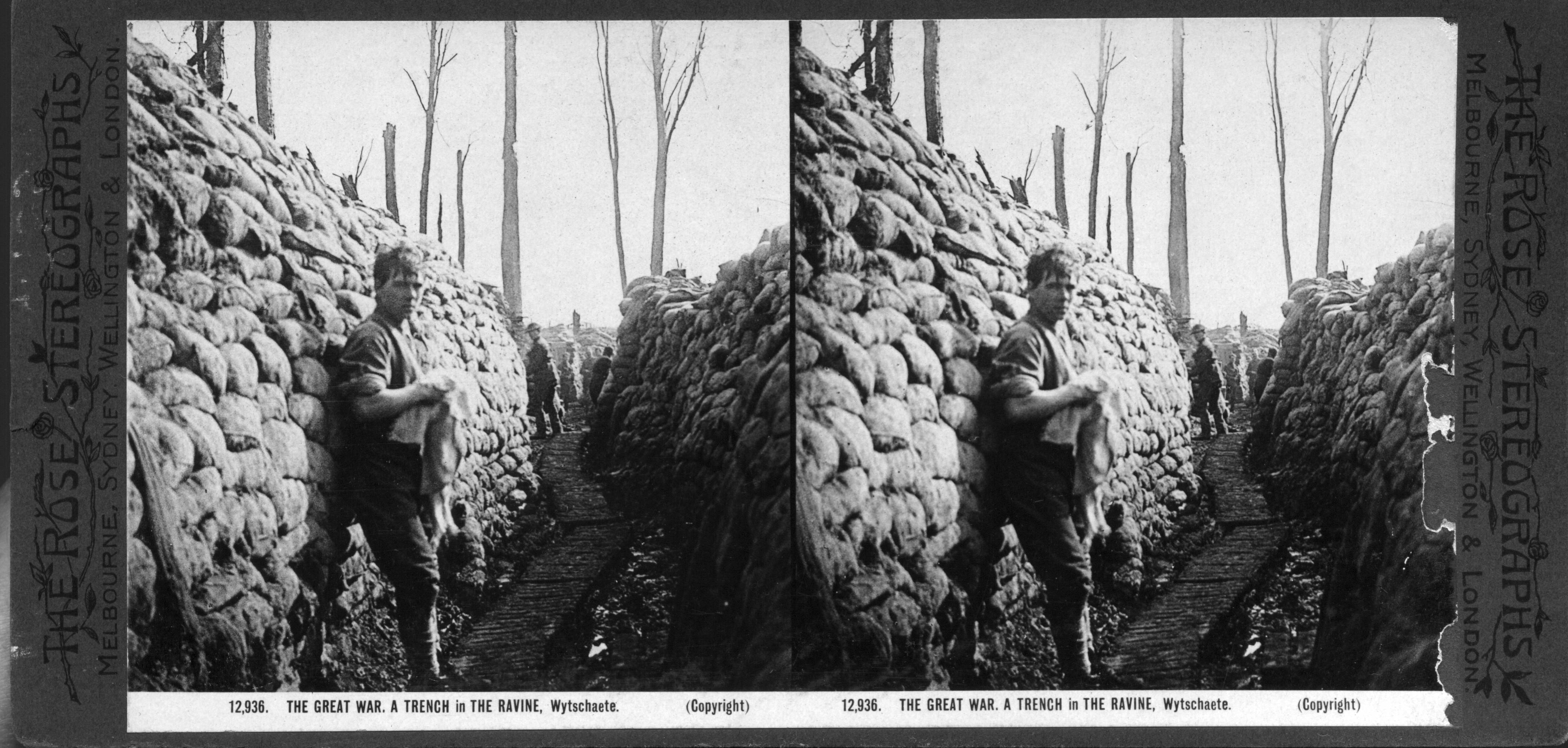 THE GREAT WAR. A TRENCH in THE RAVINE, Wytschaete.