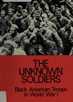 The Unknown Soldiers : Black American Troops in World War One
