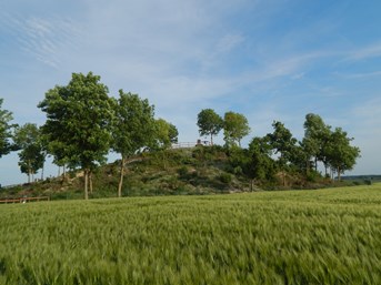 Butte de Warlencourt