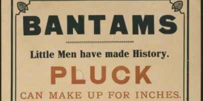 Bantam Poster Recruitment