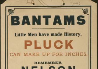 Bantam Poster Recruitment