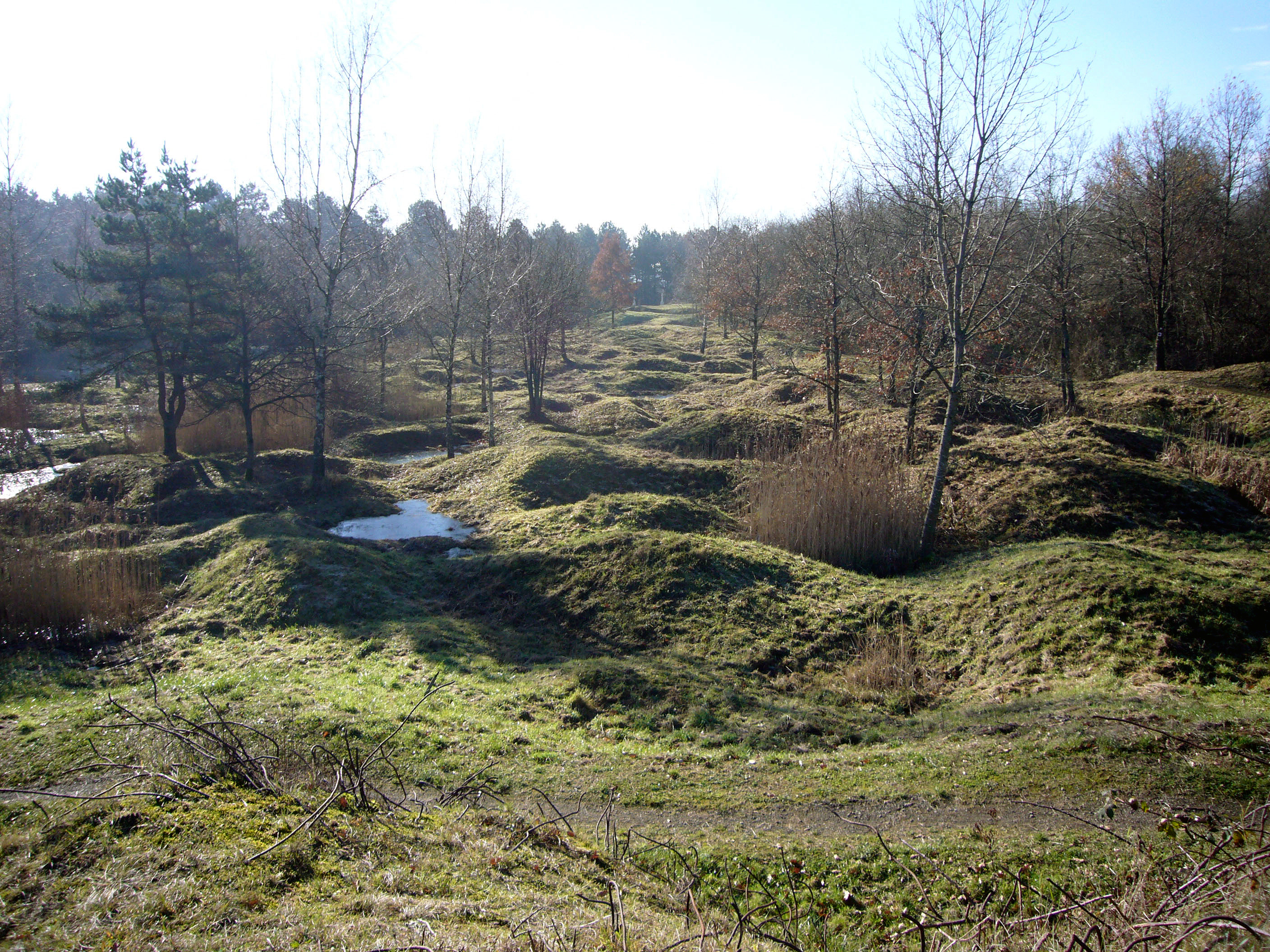Verdun Shelling Thiaumont
