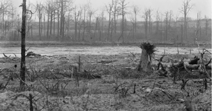 12 Section panorama. Taken from: Hooge, Sheet 28 I. 18b. 20. 75. Direction: N. W. to N. E. Bellewaarde Lake. © IWM Q 41915